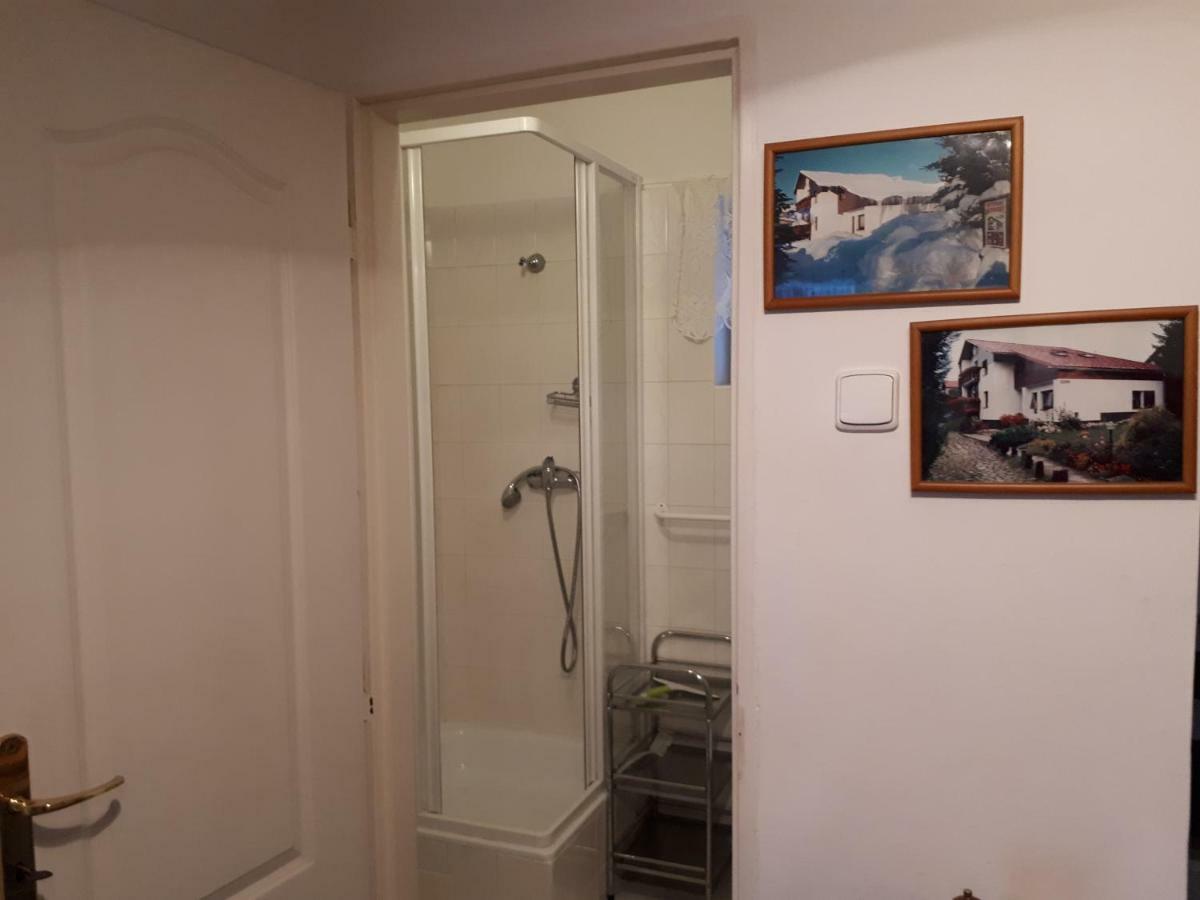 Appartement Privat - Melanie à Vrchlabí Extérieur photo